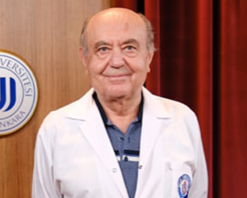 Prof. Dr. Ahmet ÇORAKCI